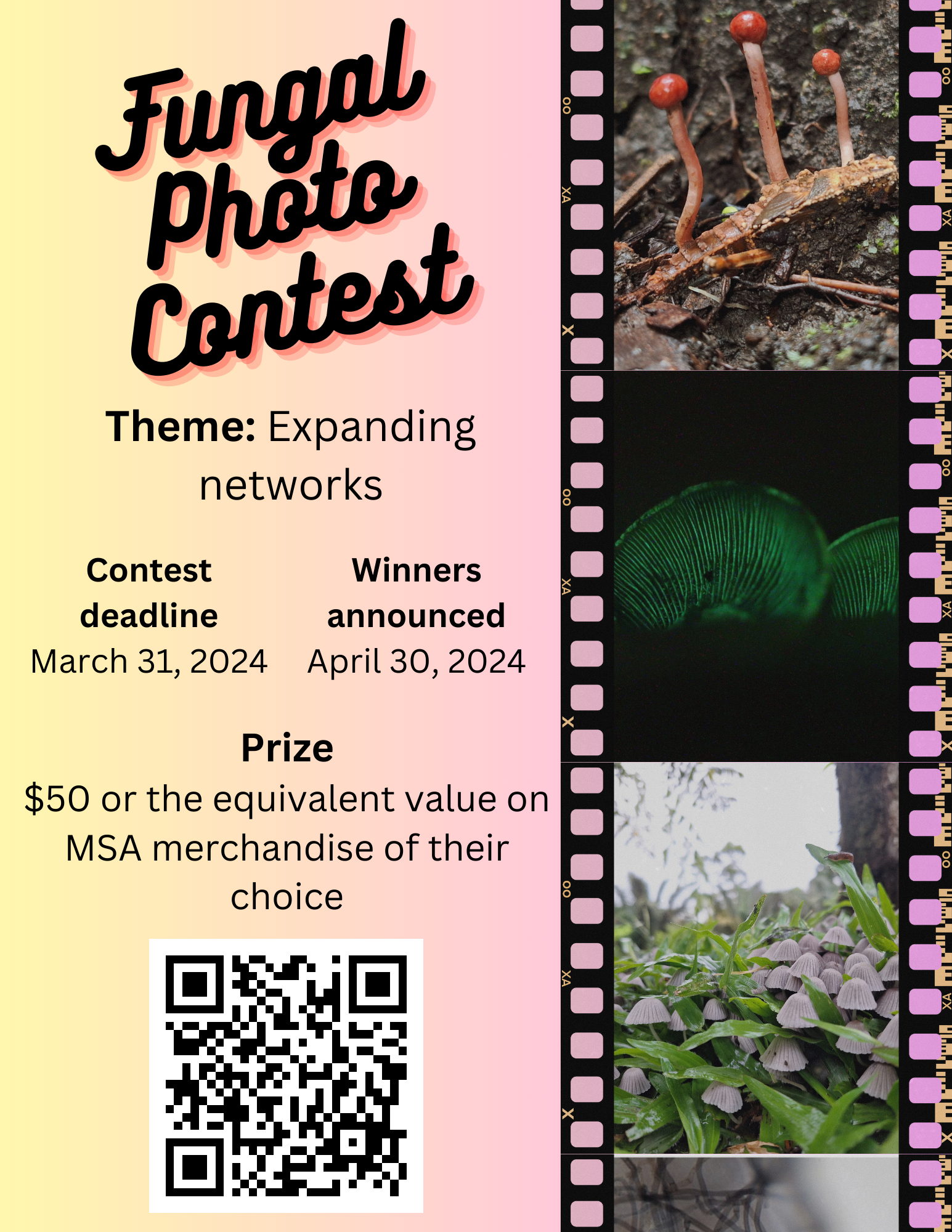 SPS 2024 Fungal Photo Contest